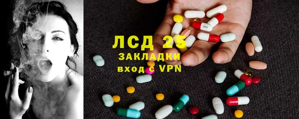 твердый Новодвинск