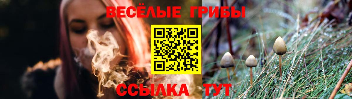 Екатеринбург  где можно купить наркотик  Вход с VPN  Псилоцибиновые грибы Magic Shrooms 